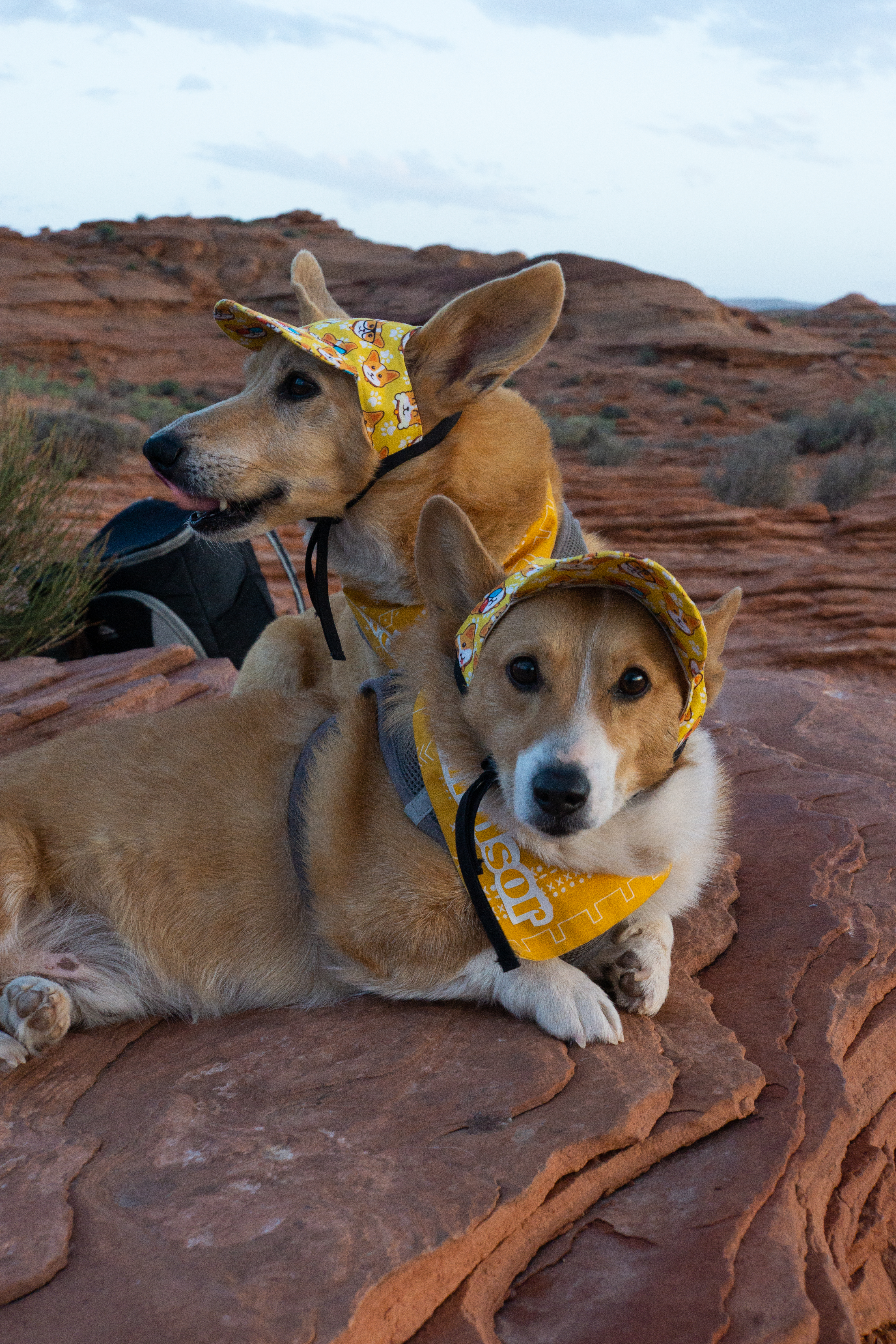 US National Parks 2022 22